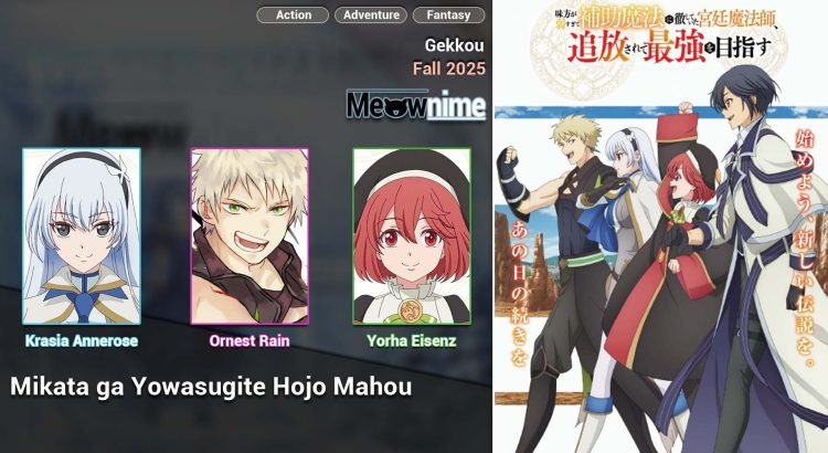 Mikata ga Yowasugite Hojo Mahou